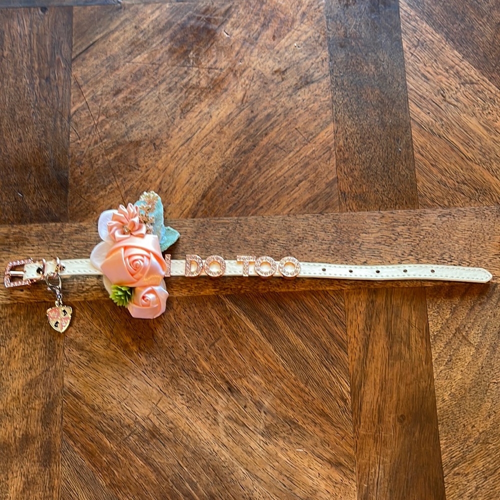 Dog wedding collar.